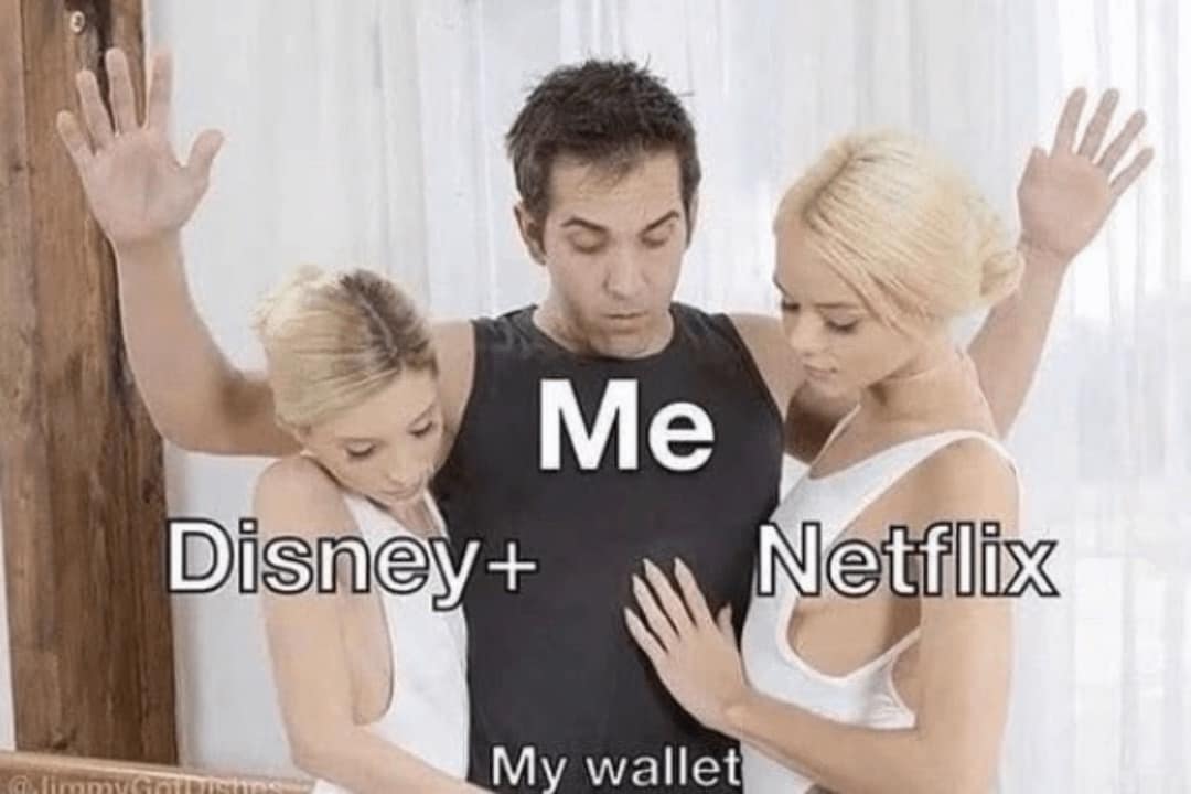 A funny adult meme of a man being tempted by women labeled "Disney+" and "Netflix."