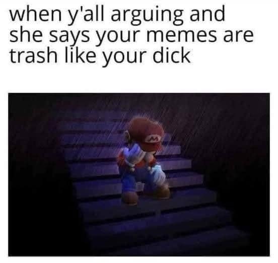 A sad Mario meme depicting the pain of having your memes insulted during an argument.