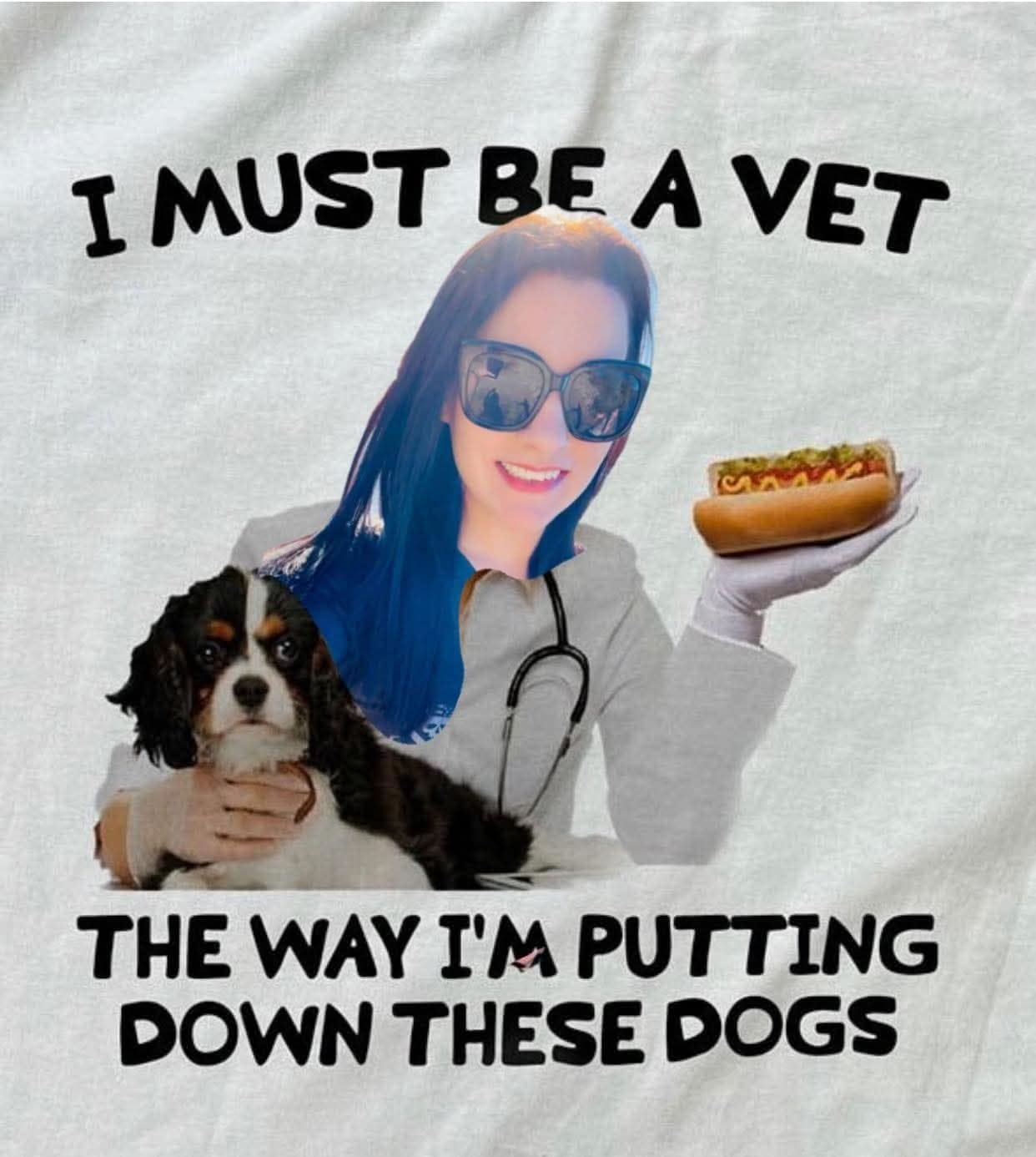 A funny meme shirt with the pun "I must be a vet the way I'm putting down these dogs."