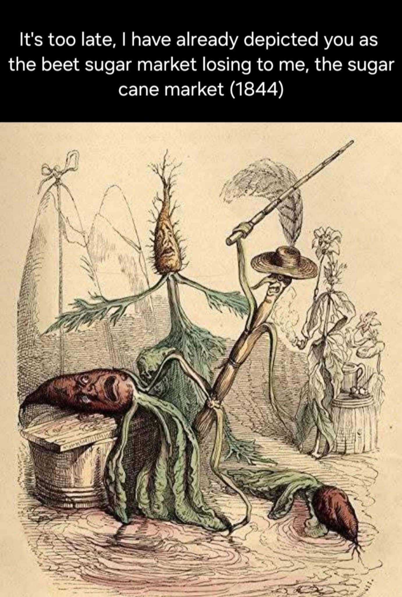 A historical meme using a 19th-century illustration to depict the rivalry between sugar cane and beet sugar.