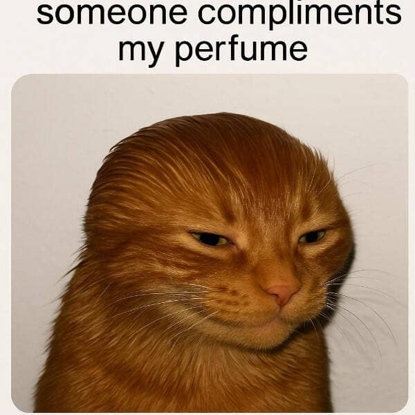 A smug-looking cat with slicked-back hair representing the feeling of getting a compliment on your perfume.