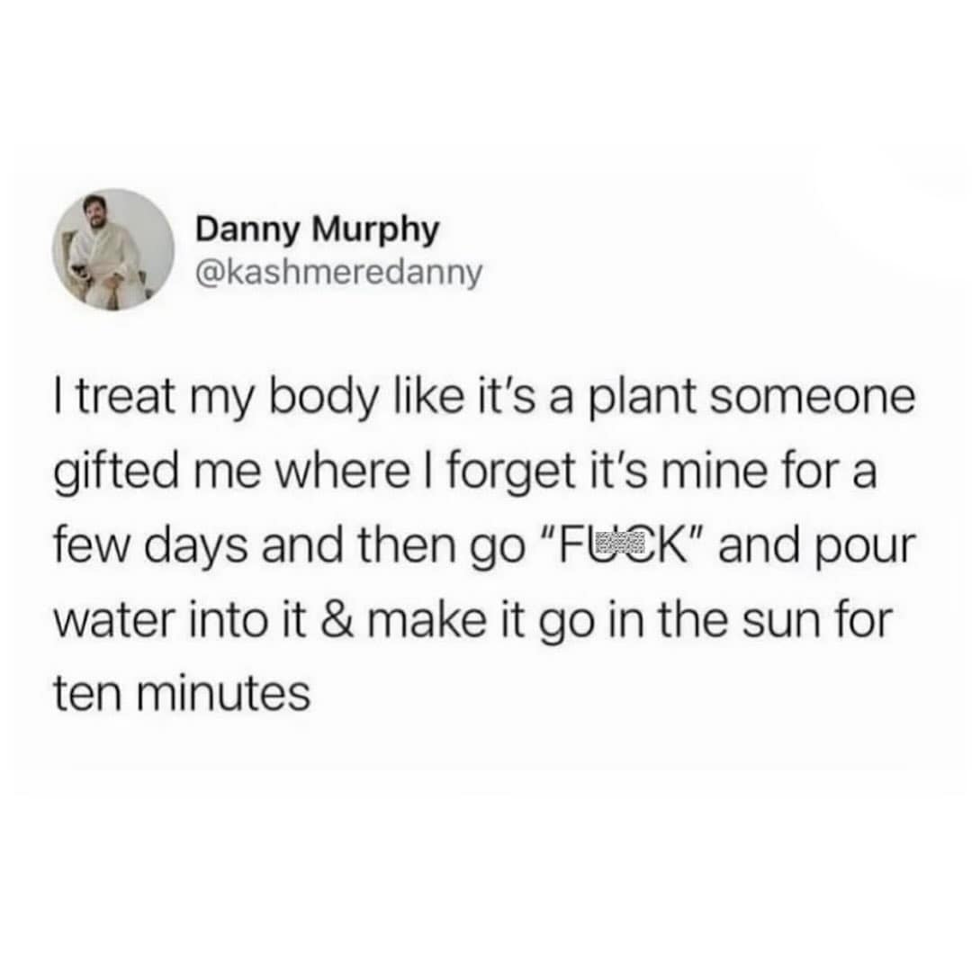 A funny and relatable tweet about treating your body like a neglected plant you suddenly remember to water.