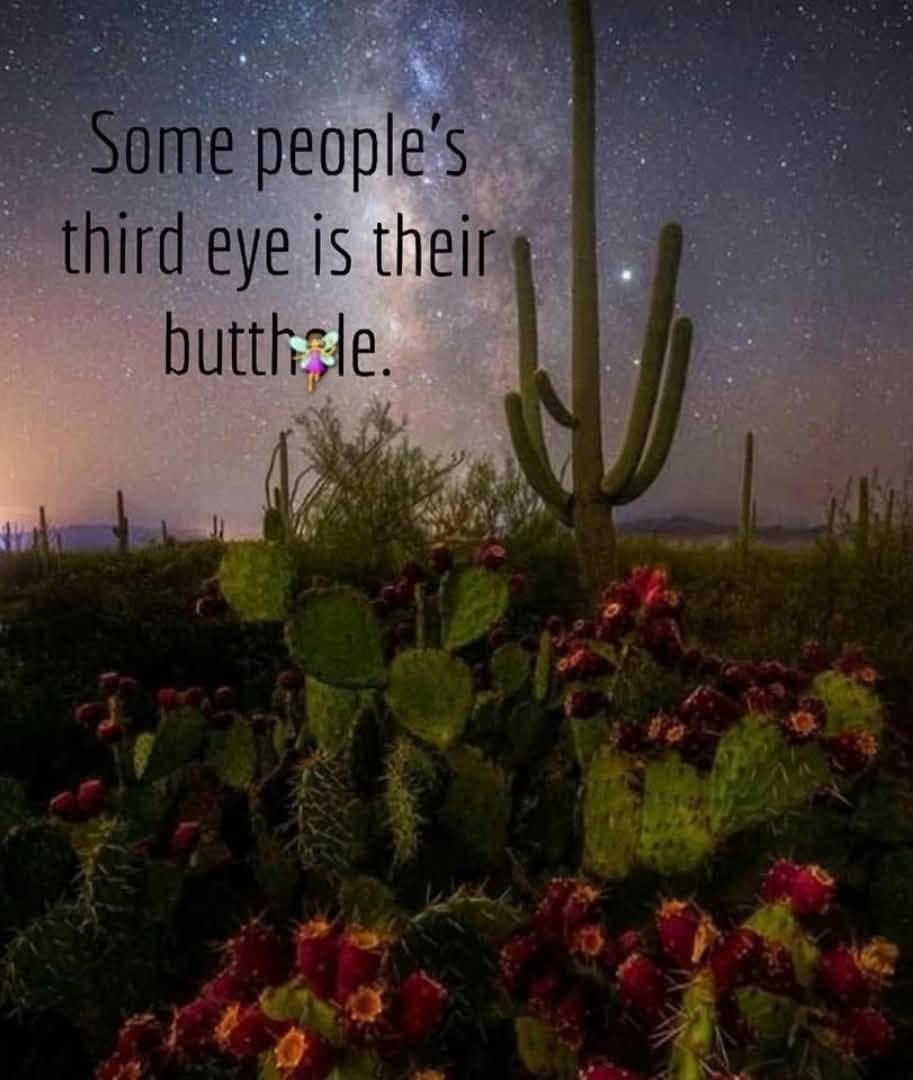 A funny pic of a desert landscape with a crude spiritual quote about the third eye.