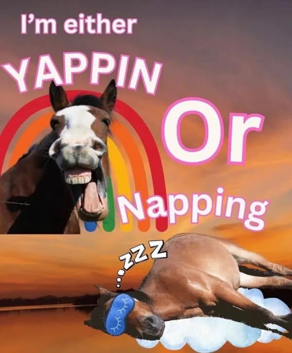 A surreal horse meme that perfectly illustrates the only two moods: "Yappin Or Napping."