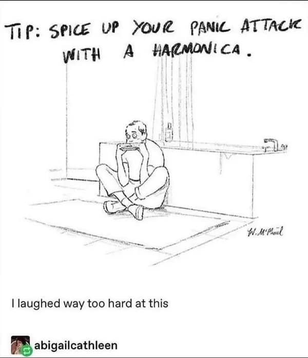 A funny pic of a cartoon suggesting you "spice up your panic attack with a harmonica."