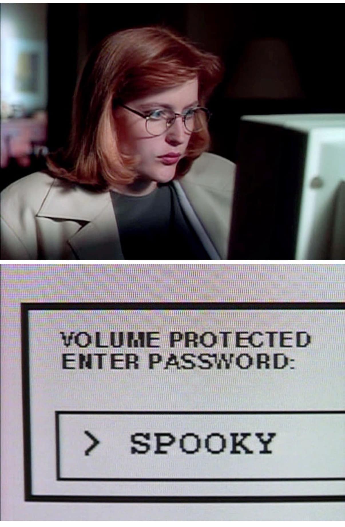 Funny pic meme from The X-Files showing Scully at a computer asking for the password "SPOOKY."