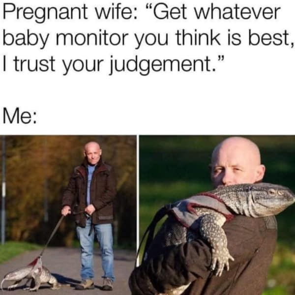 A funny meme about a husband buying a "baby monitor" that is actually a giant monitor lizard.