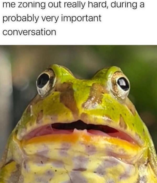 A funny reaction meme of a frog zoning out during an important conversation