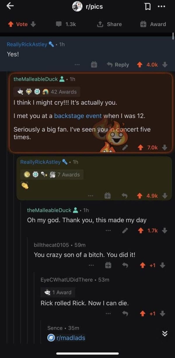 22 Funny Reddit Posts That Prove Reddit Is Wild