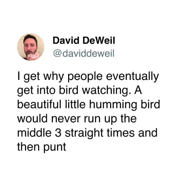 A funny sports tweet explaining why bird watching is better than watching frustrating football play-calling.