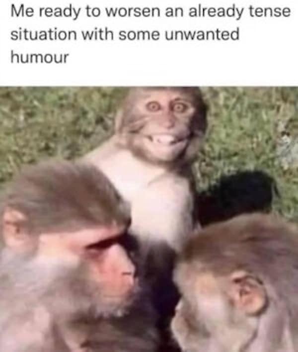 A relatable grumpy meme of a monkey ready to make a tense situation worse with humor.