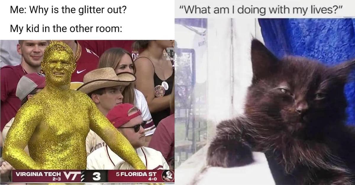 A gallery of the best grumpy memes for people who are feeling cynical and curmudgeonly.