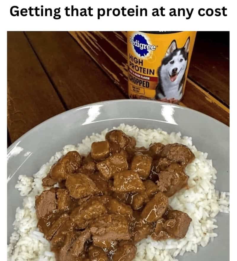 A cursed gym meme showing high-protein dog food served over rice for human consumption.
