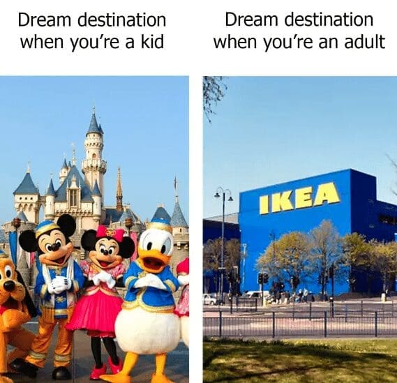 A relatable meme comparing a child's dream destination of Disneyland to an adult's dream destination of IKEA.