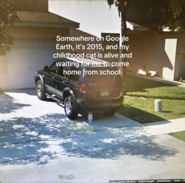 A nostalgic lifemaxxing meme of a Google Earth image showing a childhood cat from 2015