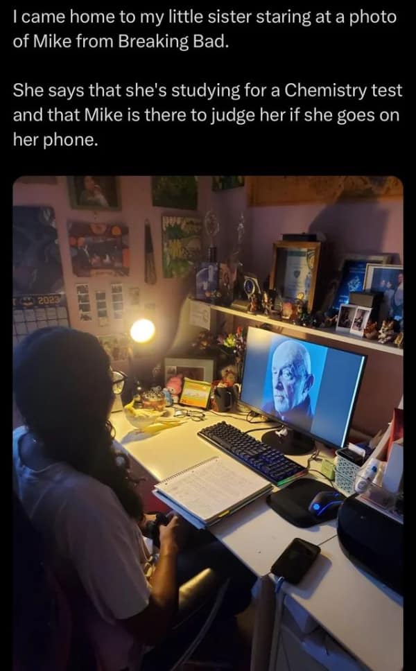 A funny lifemaxxing meme of a student using a picture of Mike from Breaking Bad to stay focused.