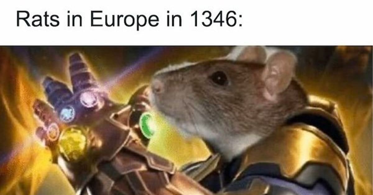 A collection of the funniest medieval memes and history memes perfect for Halloween.