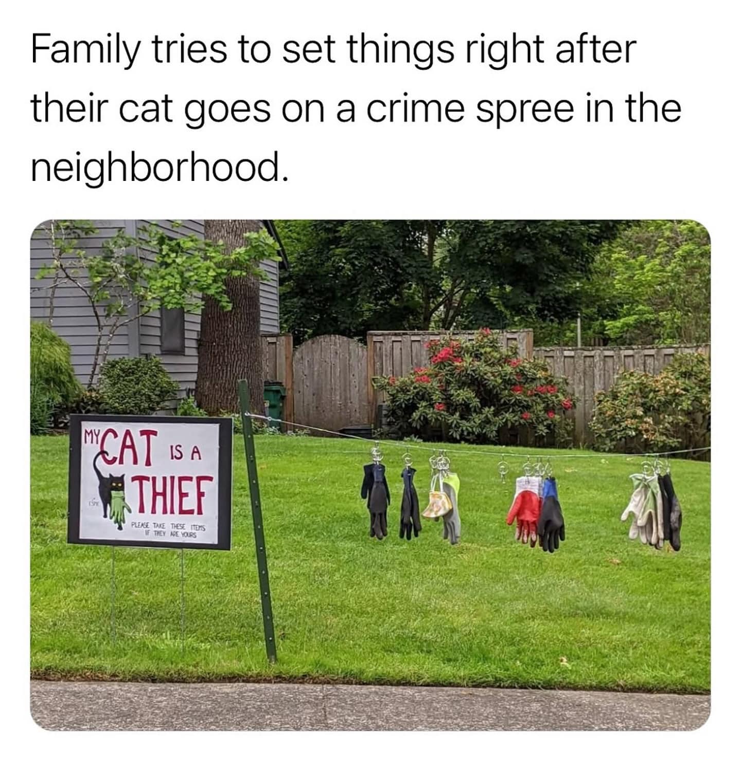 A hilarious meme of a family that has set up a "lost and found" for all the items their cat has stolen from the neighborhood.