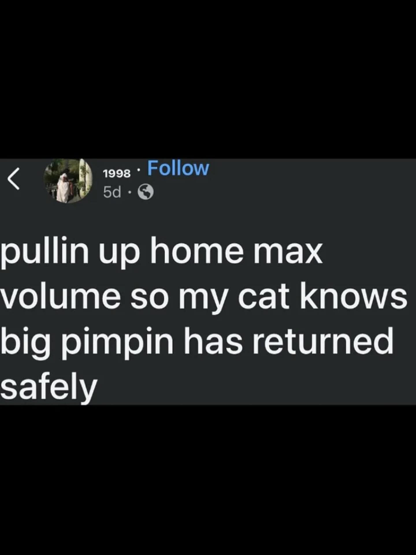 A funny meme tweet about blasting music when arriving home so the cat knows you've returned.