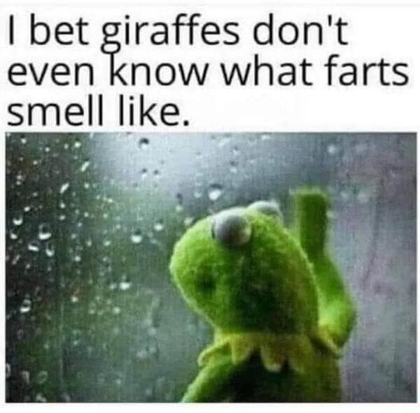 A funny meme using a sad Kermit the Frog to ponder the philosophical question of whether giraffes know what farts smell like.
