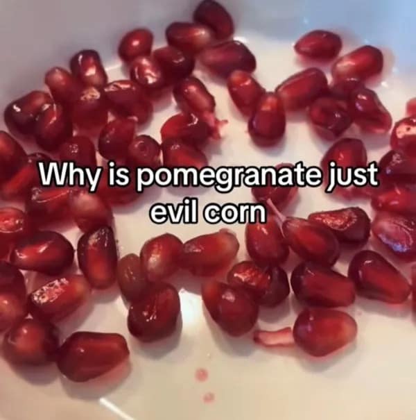 A funny meme that asks the philosophical question, "Why is pomegranate just evil corn?"