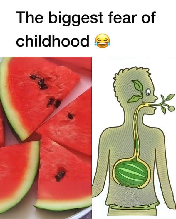 A funny meme showing a picture of a watermelon next to a diagram of a watermelon growing in a person's stomach.