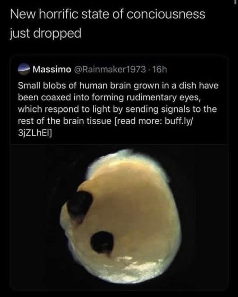 A funny meme showing a horrifying scientific development where scientists have grown brain blobs with rudimentary eyes.
