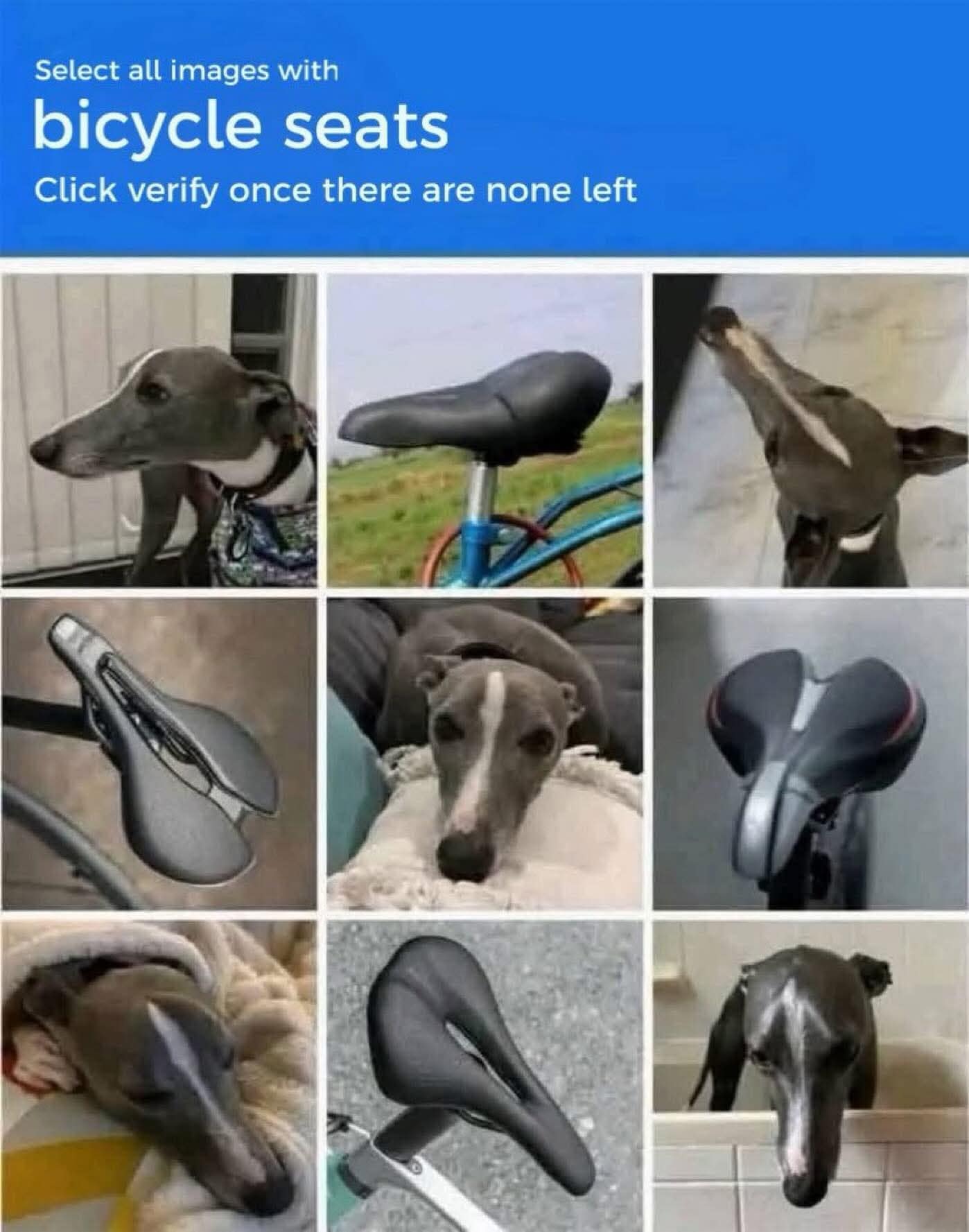 A hilarious meme of a CAPTCHA test that's impossible because it's filled with pictures of greyhounds that look like bicycle seats.