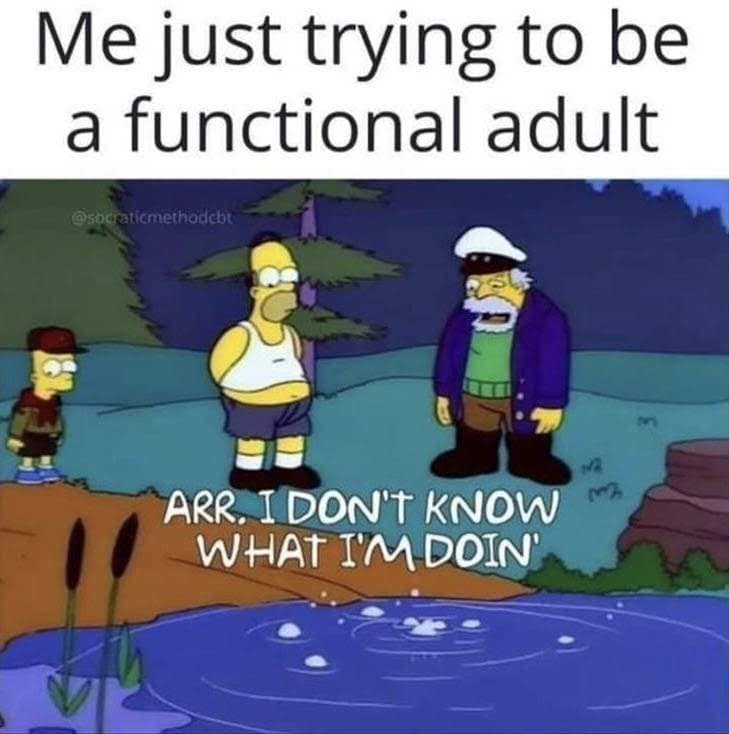 A hilarious meme from The Simpsons showing Homer Simpson admitting "I don't know what I'm doin'."