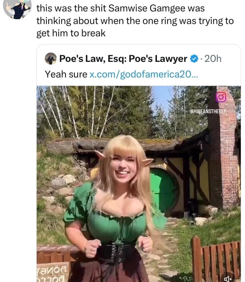 A funny meme from 'Lord of the Rings' suggesting Samwise Gamgee was tempted by a buxom elf.