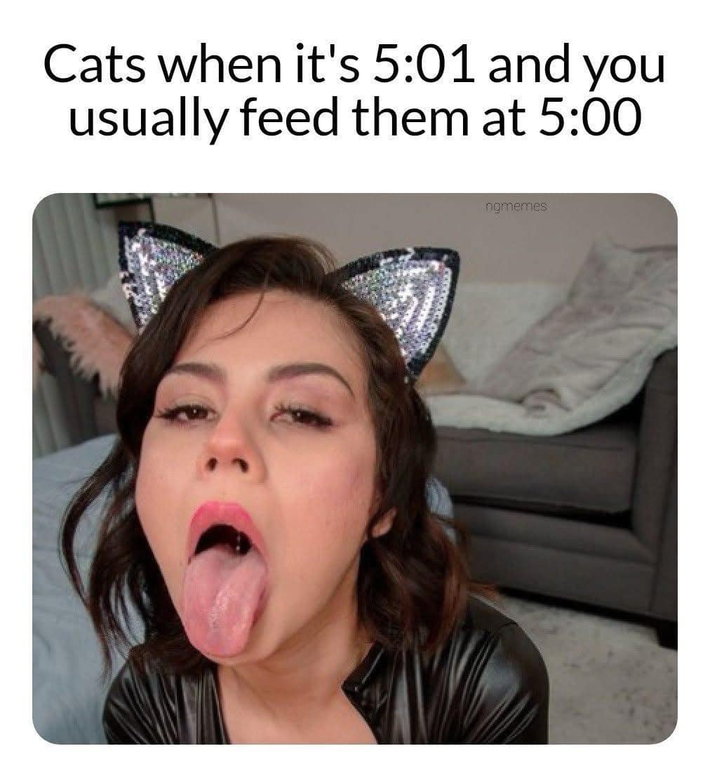 A funny meme comparing a cat's hunger at 5:01 to an exaggerated open-mouthed expression.