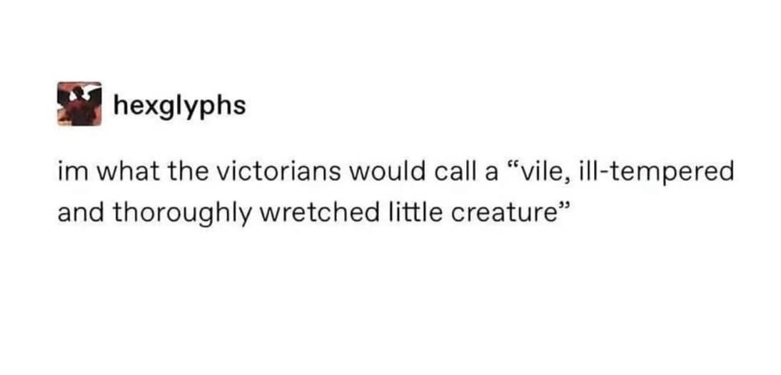 A funny meme describing oneself as what the Victorians would call a "wretched little creature."
