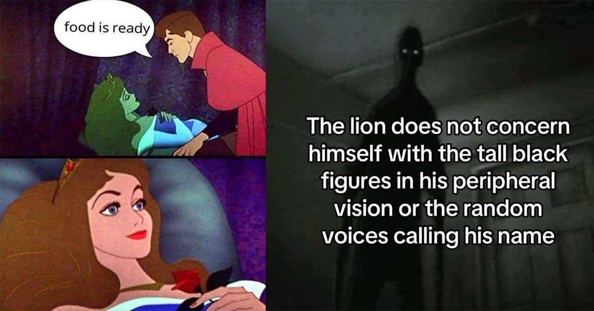 A meme dump gallery filled with hilarious memes and funny tweets perfect for Thursday.