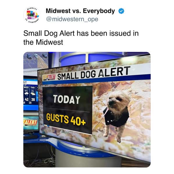 Hilarious Midwest meme featuring a fake "Small Dog Alert" weather warning for wind gusts over 40 mph.