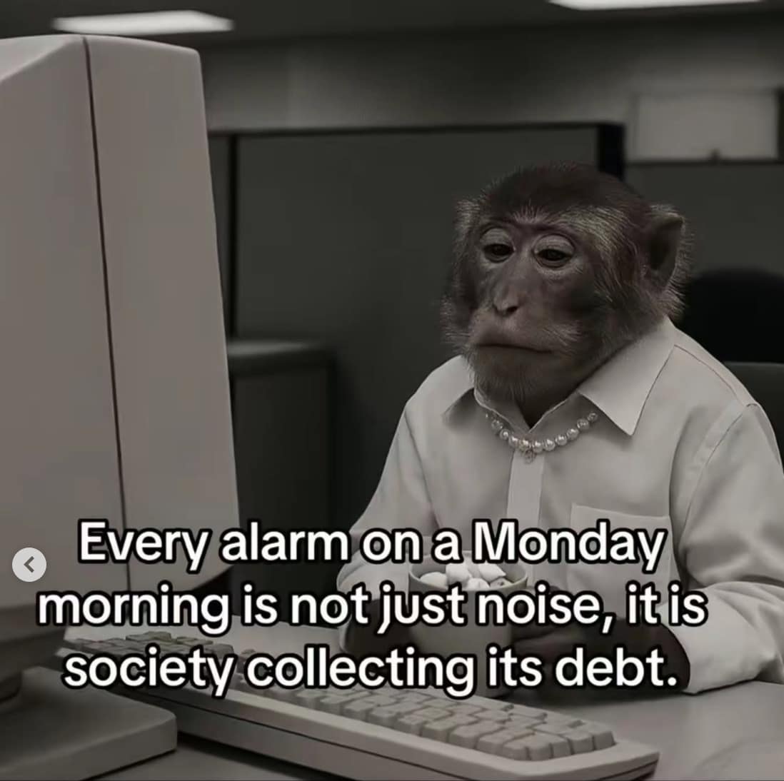 Office monkey philosophy meme describing the Monday morning alarm clock as society collecting its debt