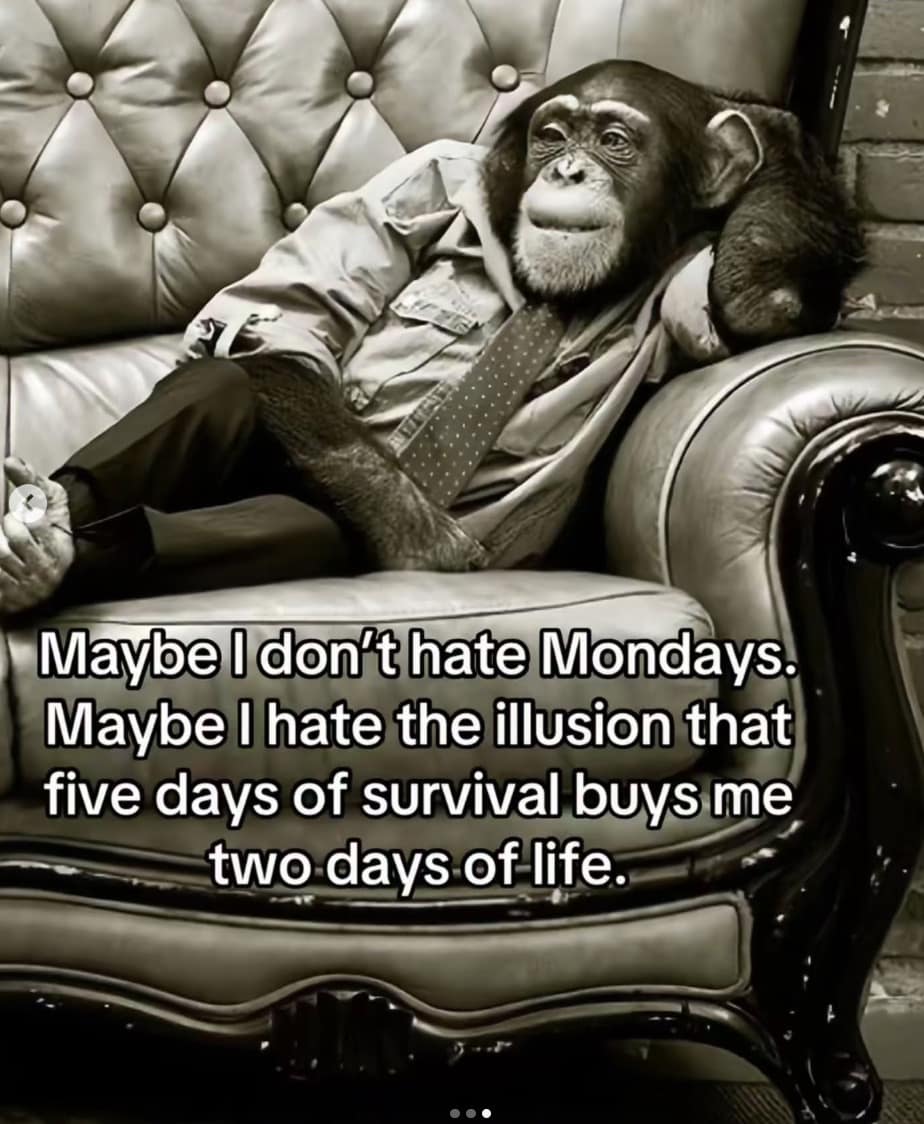 Relaxed monkey philosophy meme questioning if hating Mondays means hating the illusion of the work/life balance