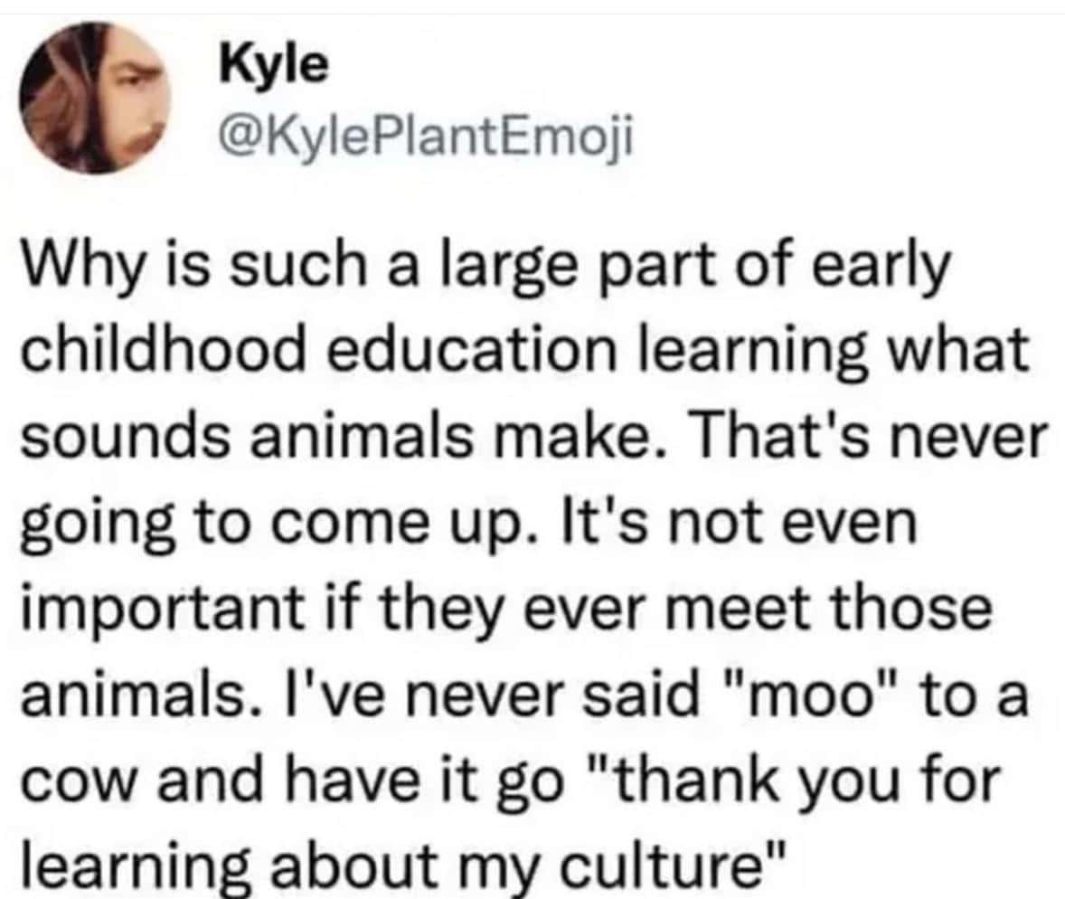 An oddly specific tweet questioning the educational value of teaching toddlers what sounds animals make.