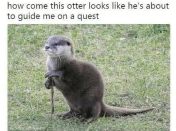 A funny otter meme showing an otter standing with a stick like a wise old quest giver.