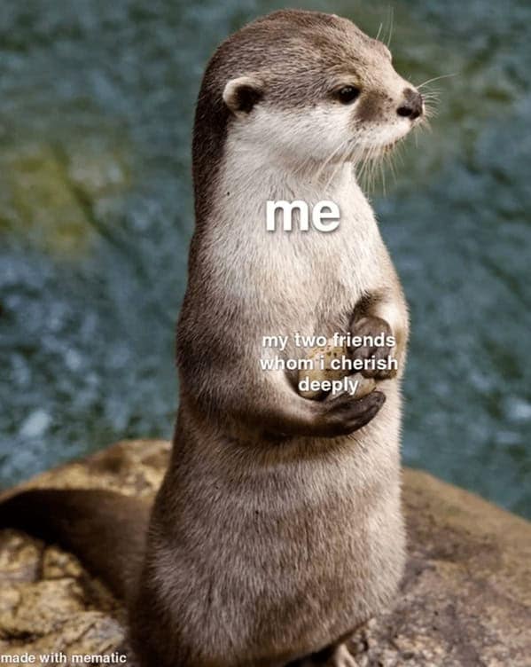 A wholesome otter meme showing an otter protectively hugging its two friends.