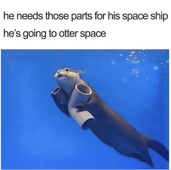 A funny otter meme featuring an otter swimming with pipes, making an "otter space" pun.