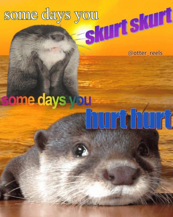 A relatable otter meme about the emotional rollercoaster of life, from "skurt skurt" to "hurt hurt."