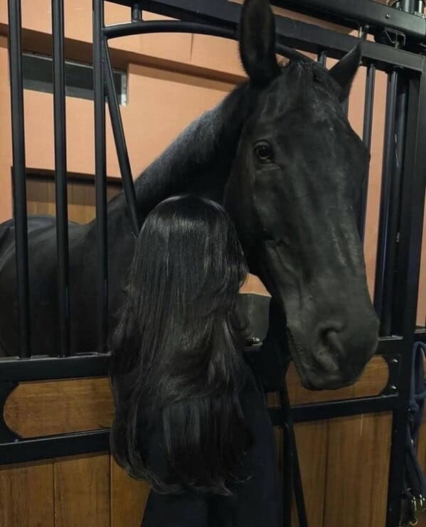 A woman with long, sleek black hair standing next to a beautiful black horse with a similar mane.