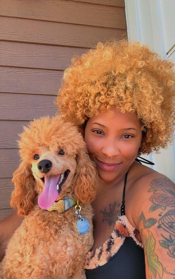 A smiling woman with a blonde curly afro holds her matching blonde toy poodle with its tongue out.