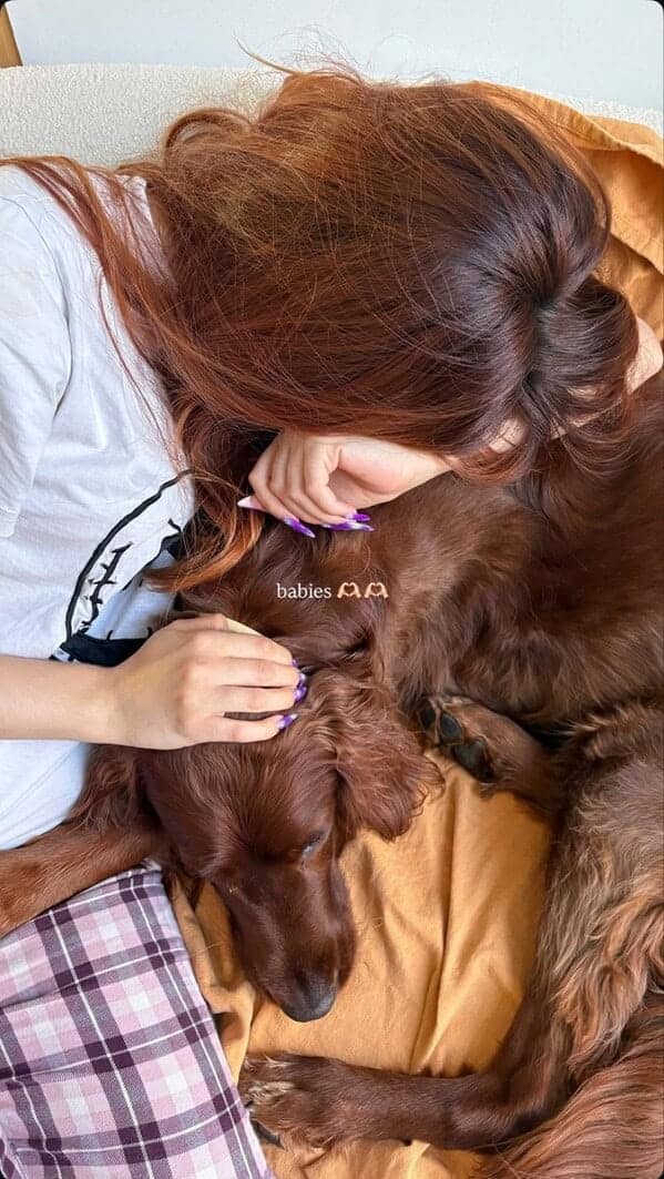 A woman with long reddish-brown hair cuddling with her Irish Setter dog which has matching fur.