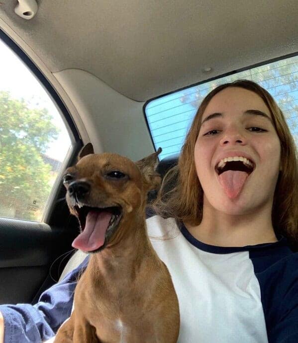 A young woman and her small brown dog sticking their tongues out for a funny selfie in the car.