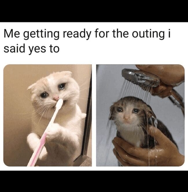 A funny and relatable meme using sad cat pictures to show the misery of getting ready for an outing.