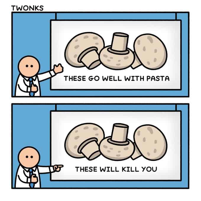 A funny comic strip that is a PSA about the high stakes of identifying mushrooms correctly.