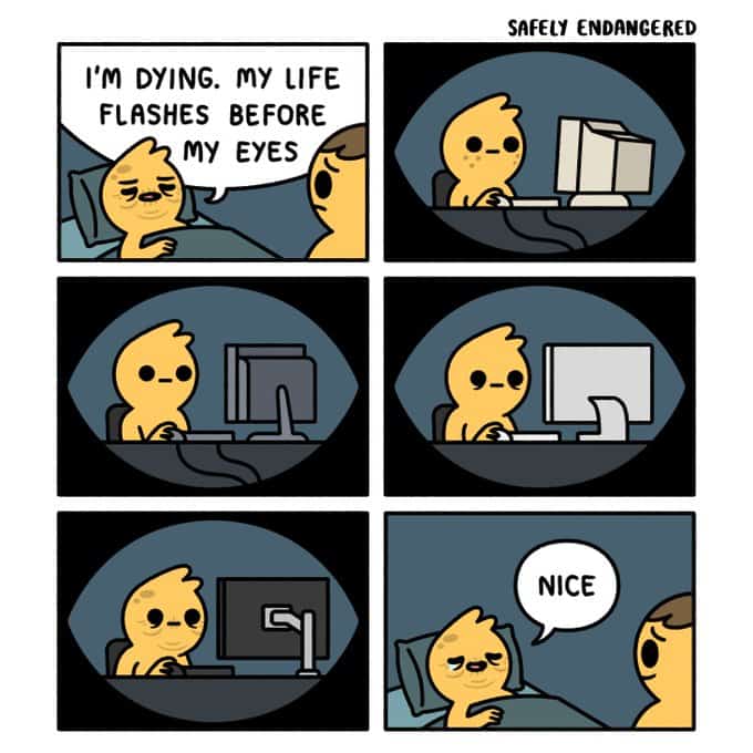 A dark humor Safely Endangered comic where a character's life flashing before his eyes is just him at a computer.
