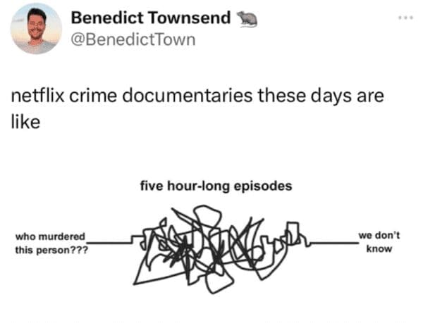 A funny meme describing how Netflix crime documentaries are long and end without a conclusion.