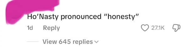 A funny comment claiming that the unfortunate name "Ho'Nasty" is actually pronounced "Honesty."